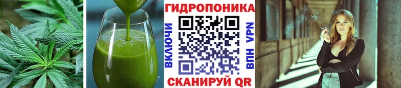 omg как войти  где продают наркотики  Демидов  Cannafood конопля 