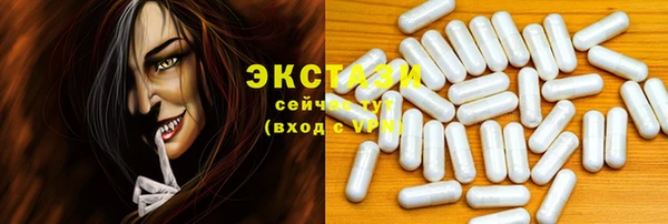 гидра Горнозаводск