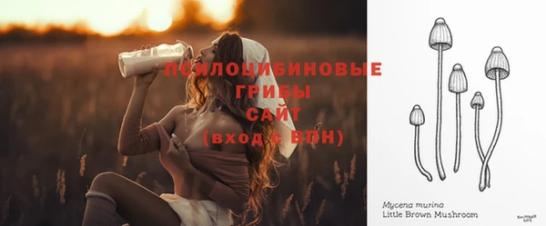 гидра Горнозаводск