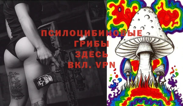 гидра Горнозаводск