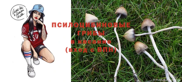 крисы Вяземский