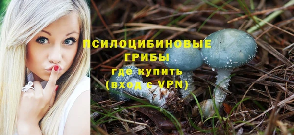 крисы Вяземский