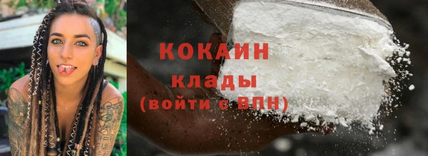 гидра Горнозаводск