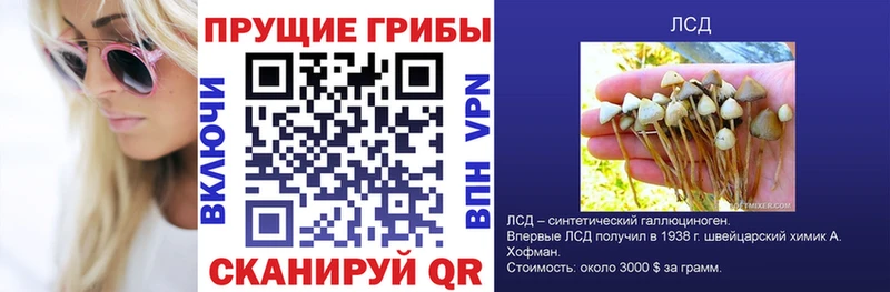 Галлюциногенные грибы прущие грибы Демидов